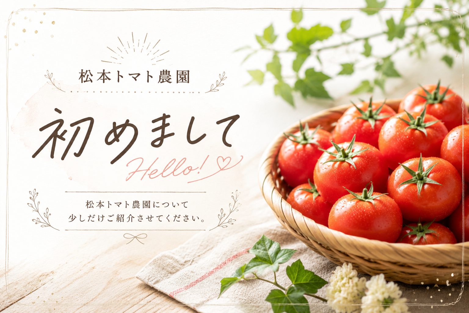 はじめまして。「松本トマト農園」|垢田(あかだ)トマト生産者です。